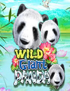 แนะนำ เว็บ เล่น เกมส์ บวกแจ็คพอต ฝากถอนง่าย